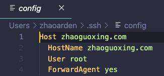 VS code Remote-SSH 插件支持远程编辑文件，真爽~